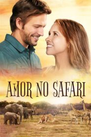 Amor No Safari