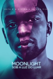 Moonlight: Sob a Luz do Luar